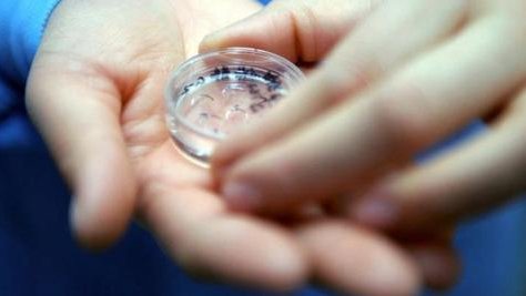 试管移植三天的鲜胚用早孕试纸是不是都会测出粉杠？