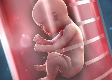 女性右侧排卵是否意味着受精卵会在右侧子宫着床？