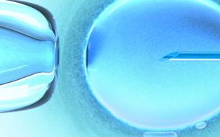 马来西亚双威医疗中心试管婴儿费用详情是多少？