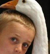 哪些选项适合进行高龄试管婴儿？