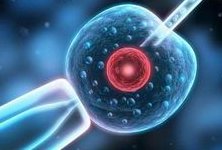 做完人工授精后成功的症状一览，食欲不佳可能就是好消息