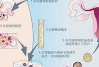 梅毒怀孕了为什么医生不建议要孩子？想怀孕怎么办？