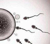 排卵障碍不容忽视，不孕大多是其原因！杭州市哪家医院擅长排卵障碍试管方案？