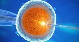 老公弱精能试管婴儿吗