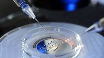 2026年清宫表的受孕月份是按阴历算还是阳历算？