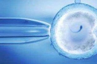 试管婴儿自然周期方案孕酮水平2.6可以移植胚胎吗？